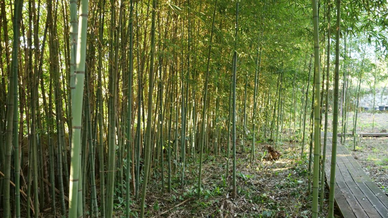 Heron'S Path I Análipsis エクステリア 写真